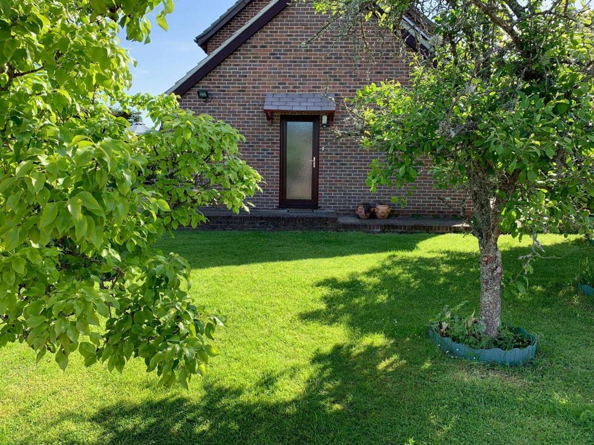 New Forest Hideaway- Self Catering Accommodation Newbridge  外观 照片