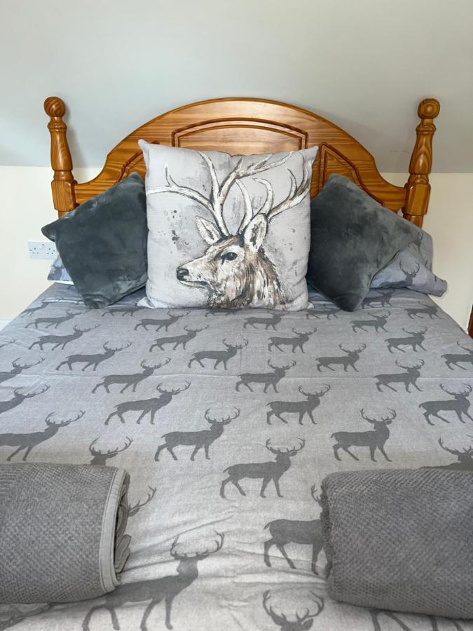 New Forest Hideaway- Self Catering Accommodation Newbridge  外观 照片